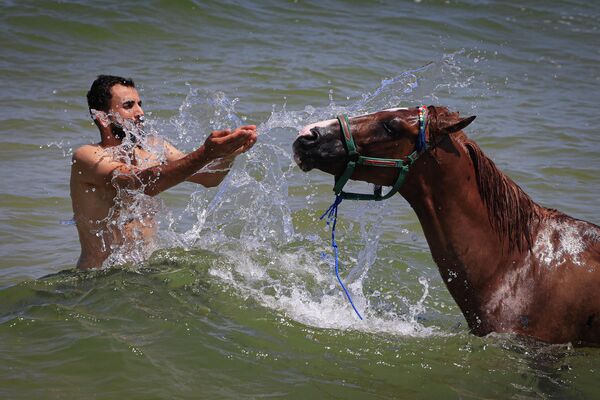  Мужчина охлаждает коня в жаркий летний день в городе Газа в Палестине, вместе с ним заряжаясь энергией моря. - Sputnik Узбекистан