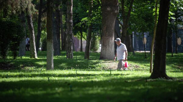 Пожилой мужчина идет по парку Ташкента - Sputnik Узбекистан