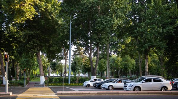 Автомобили у пешеходного перехода. - Sputnik Узбекистан