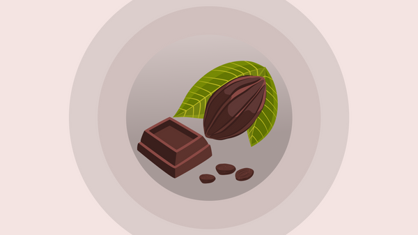 У кого Узбекистан купил больше всего шоколада и какао-продуктов за январь-июнь 2023 года инфографика заглушка - Sputnik Узбекистан