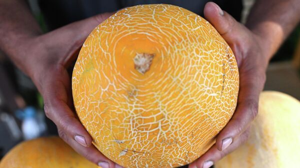 Продажа дынь в Москве. - Sputnik Узбекистан