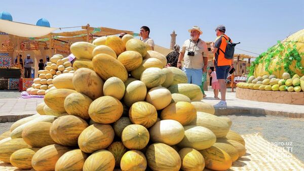 В Хиве проходит фестиваль дыни - Sputnik Узбекистан