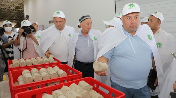 На предприятии в Ферганской области изготавливают брикеты из пыли. - Sputnik Узбекистан