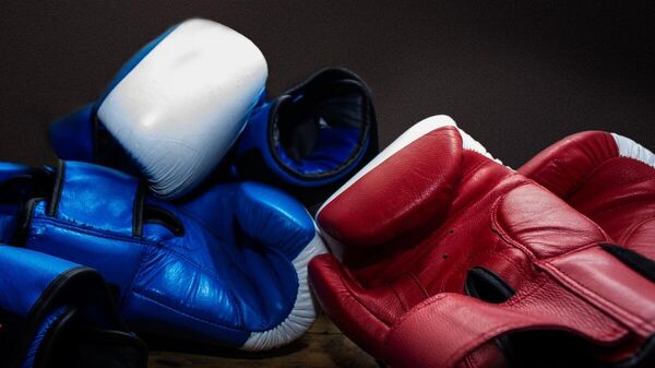 Синяя и красная боксерские перчатки - Sputnik Ўзбекистон