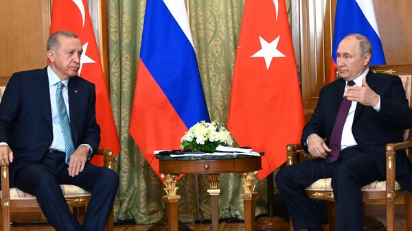 Президент РФ В. Путин провел переговоры с президентом Турции Р. Т. Эрдоганом - Sputnik Узбекистан