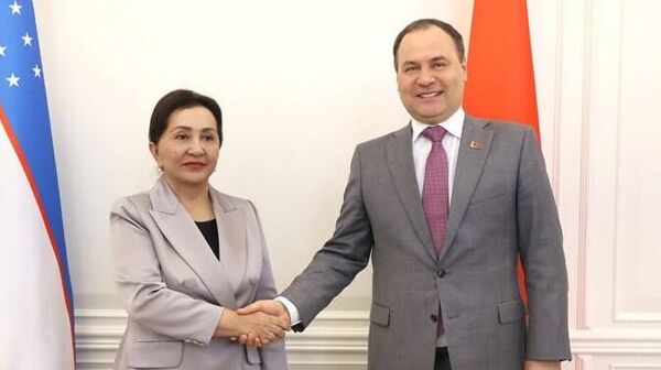 Танзила Нарбаева встретилась с премьер-министром Беларуси Романом Головченко - Sputnik Узбекистан