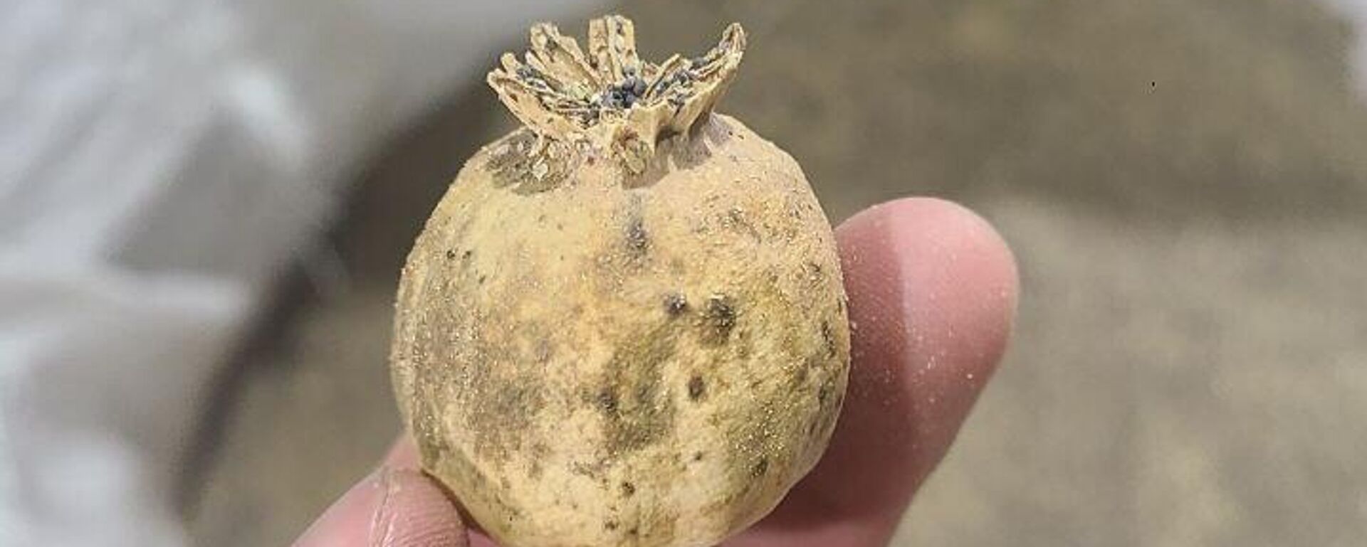 В Ташкентском аэропорту пресекли ввоз 8, 5 тонн наркотиков - Sputnik Ўзбекистон, 1920, 08.11.2025