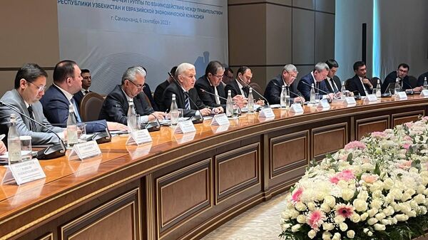 Заседание совместной рабочей группы ЕАЭС-Узбекистан  - Sputnik Узбекистан
