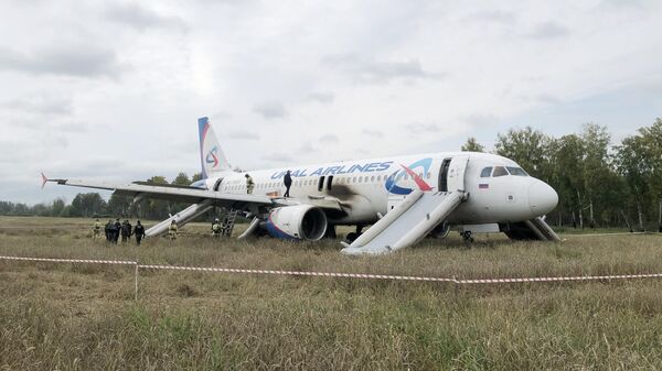 В Новосибирской области самолет совершил аварийную посадку - Sputnik Узбекистан