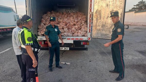 В Самаркандской области задержали грузовик с мясом, которое перевозили с нарушением сантребований - Sputnik Узбекистан