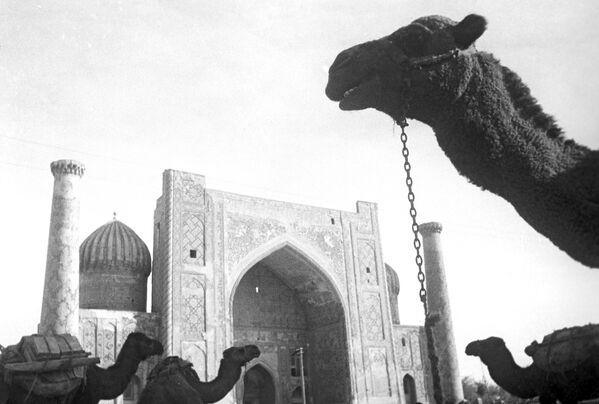 Медресе Шердор на площади Регистан (1967 г.). - Sputnik Узбекистан