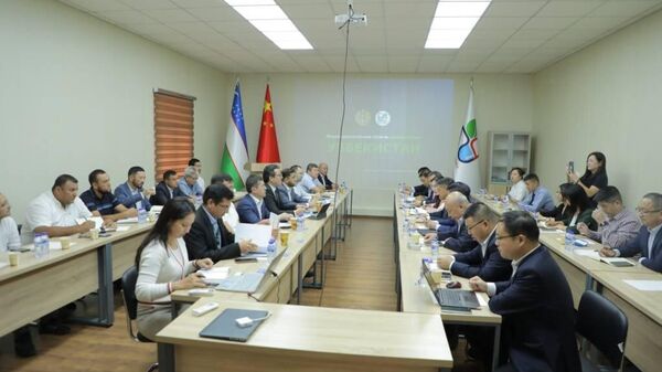 Встреча Агентства по развитию фармацевтической отрасли Узбекистана с представителями китайских компаний. - Sputnik Узбекистан