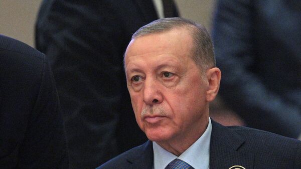 Rejep Tayyip Erdog‘an, arxiv surat - Sputnik O‘zbekiston