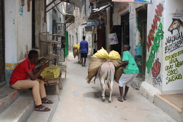 В Кении в городе Ламу улицы такие узкие и извилистые, что перемещаться по ним можно только пешком или на осликах. - Sputnik Узбекистан