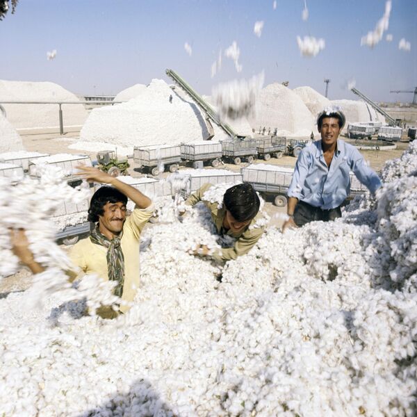 Rus qizga internetda so‘rishni o‘rgatishyapti. Fohishaxonada er va xotin