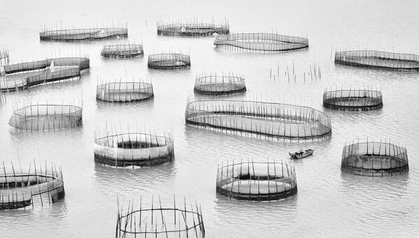 Снимок фотографа Jingyi Wang, победивший в категории Human Connection конкурса Ocean Photographer of the Year 2023.  Искусственные &quot;пруды&quot; для разведения рыбы в Китае. - Sputnik Узбекистан