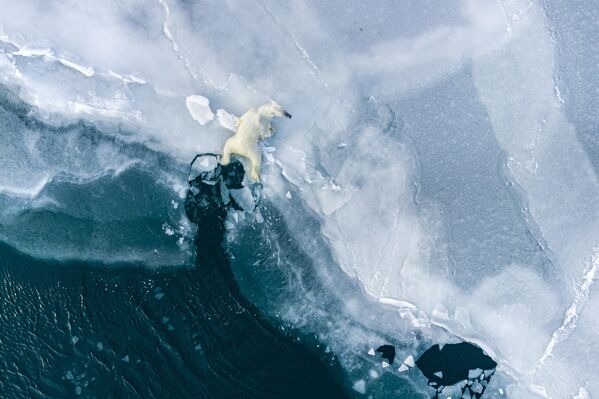 Снимок фотографа Florian Ledoux в категории Conservation (Impact). На снимке видно, как страдают арктические регионы от изменений климата и загрязнения. - Sputnik Узбекистан