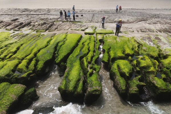 Удивительный пейзаж Зеленого рифа Лаомей на Тайване. - Sputnik Узбекистан