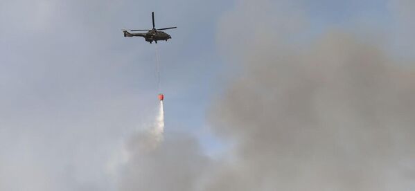 Тушить пожар помогают вертолеты Минобороны. - Sputnik Узбекистан