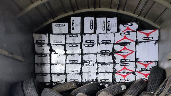 В Узбекистан пытались незаконно провезти табачные изделия на 15 млрд сумов - Sputnik Узбекистан