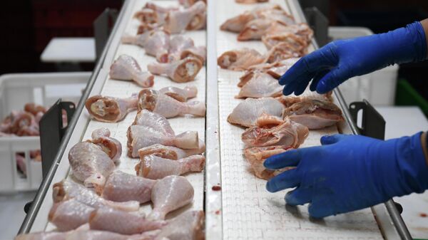 Производство мяса птицы  - Sputnik Узбекистан
