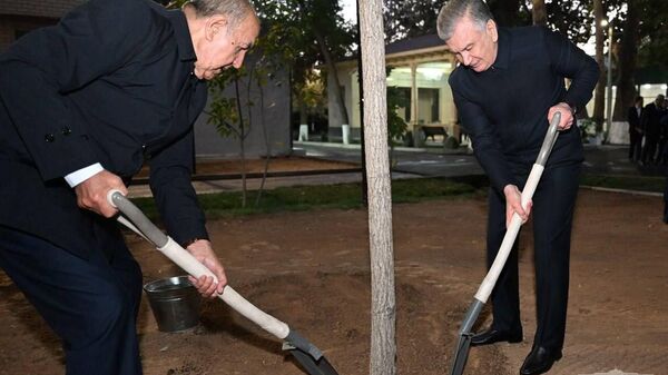 Глава государства дал старт осеннему сезону посадки деревьев в рамках проекта Яшил макон - Sputnik Ўзбекистон