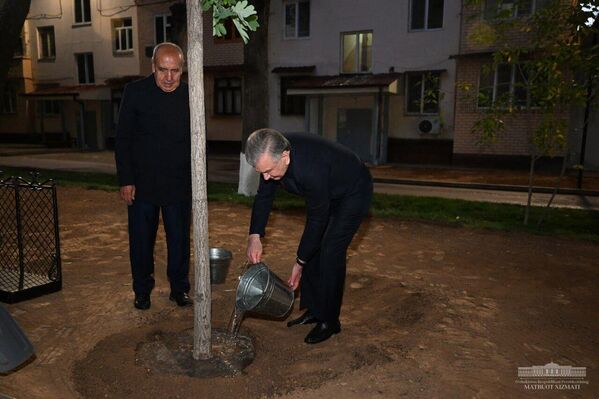 Глава государства дал старт осеннему сезону посадки деревьев в рамках проекта Яшил макон - Sputnik Ўзбекистон