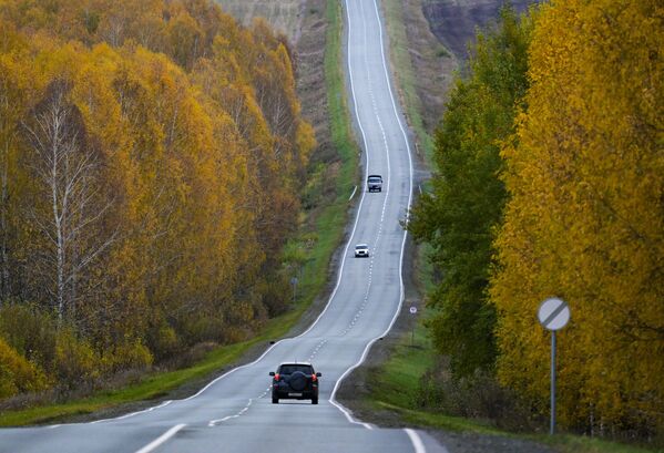 Новосибирск вилоятидаги автомобиль йўли. Новосибирск вилоятидаги автомобиль йўли. - Sputnik Ўзбекистон