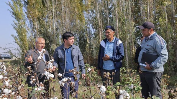 Министр сельского хозяйства Узбекистана Азиз Воитов с фермерами - Sputnik Узбекистан