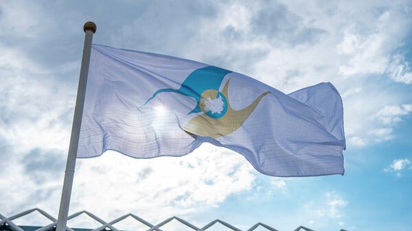 Флаг с символикой Евразийского экономического союза (ЕАЭС) - Sputnik Узбекистан