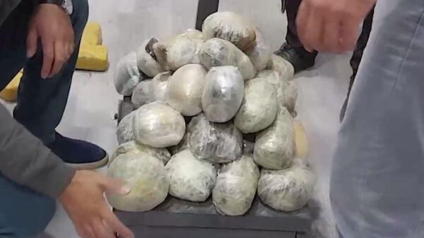 В Сурхандарье конфисковали почти 90 кг наркотиков - Sputnik Узбекистан