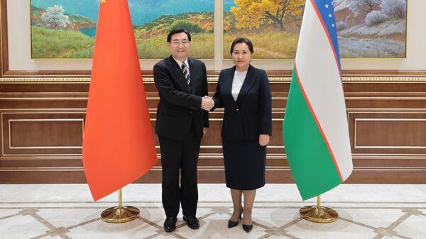 Глава Сената Олий Мажлиса встретилась с делегацией во главе с министром культуры и туризма КНР. - Sputnik Узбекистан
