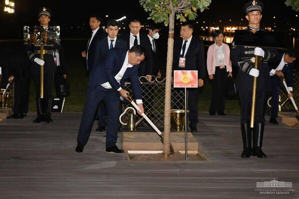 Президент Кыргызстана Садыр Жапаров посадил дерево в рамках Самаркандского саммита ШОС. 15 сентября 2022 года. - Sputnik Узбекистан