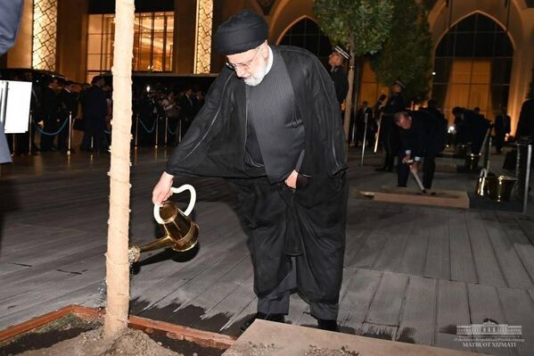 Президент Ирана Эбрахим Раиси поливает посаженное в рамках Самаркандского саммита ШОС дерево. 15 сентября 2022 года. - Sputnik Узбекистан