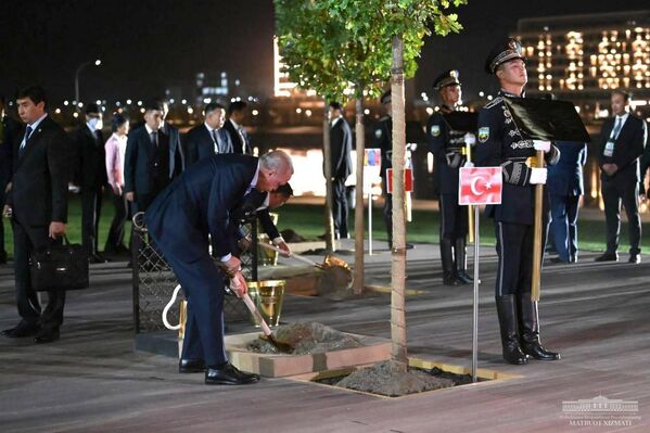Президент Турции Реджеп Тайип Эрдоган посадил дерево в рамках Самаркандского саммита ШОС. 15 сентября 2022 года. - Sputnik Узбекистан