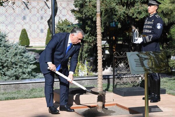 Премьер-министр Венгрии Виктор Орбан сажает дерево в рамках Самаркандского саммита Организации тюркских государств. 11 ноября 2022 года. - Sputnik Узбекистан