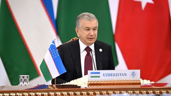 Саммит Организации экономического сотрудничества в Ташкенте. - Sputnik Узбекистан