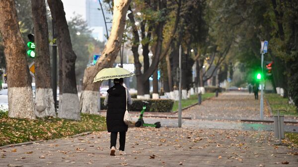 Девушка под желтым зонтом прогуливается в осеннем парке - Sputnik Ўзбекистон