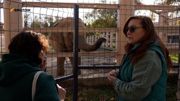 Московский зоопарк делится опытом с коллегами из Ташкента - Sputnik Узбекистан
