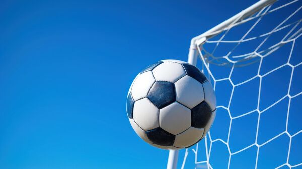 Футбольный мяч влетает в ворота. Иллюстративное фото - Sputnik Узбекистан