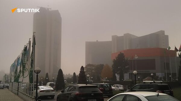 Действительно ли воздух в Ташкенте плохой – ответ климатолога. - Sputnik Узбекистан