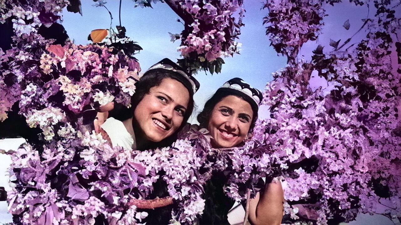 Ayolning yalangoch, shaggy mushuki bor. Katta yalangoch buferlar