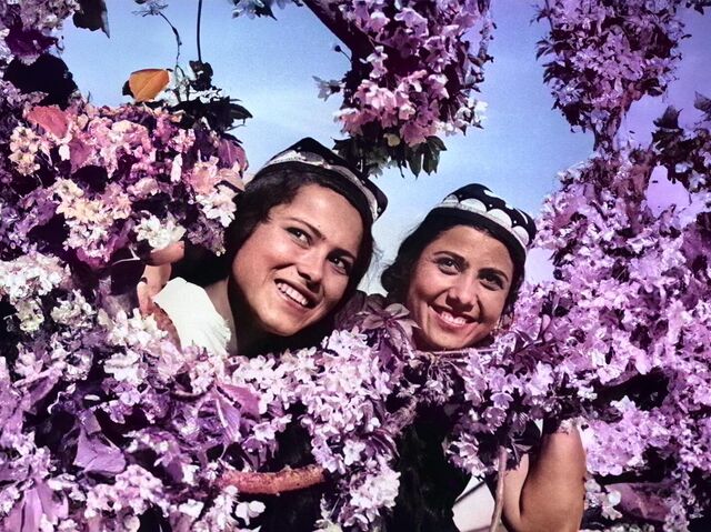 Yakkaxon porno qizlar HD formatda