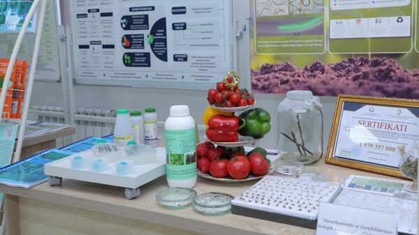 Международная конференция в научно-исследовательском институте по карантину и защите растений - Sputnik Узбекистан