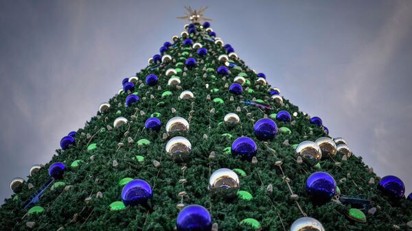 Новогодняя ёлка на территории Парка Magic city в Ташкенте - Sputnik Узбекистан
