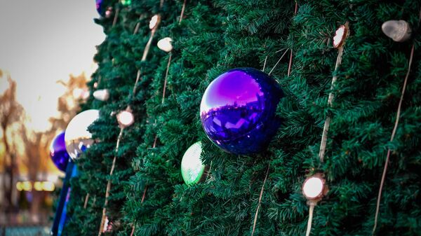 Novogodnyaya yolka na territorii Parka Magic city v Tashkente - Sputnik O‘zbekiston