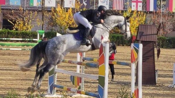 В конно-спортивном клубе Universal Horses Stable Ташкента прошёл шестой тур соревнования Uzbekistan Global Tour-2023 по конкуру.  - Sputnik Узбекистан