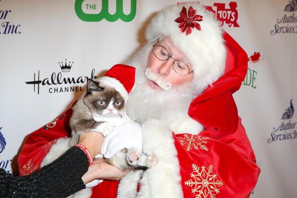 Знаменитая кошка Тард (Grumpy Cat), звезда мемов и соцсетей, на Рождественском параде в Голливуде. - Sputnik Узбекистан
