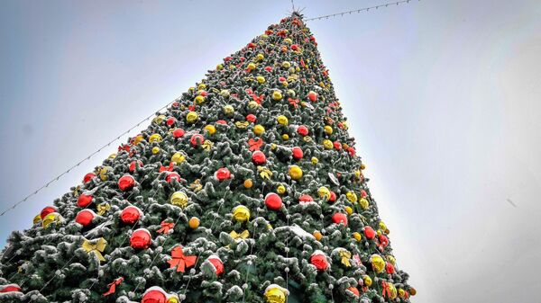 Зима в Ташкенте - Sputnik Ўзбекистон