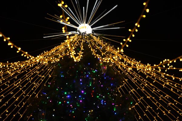 Новогодняя елка в Национальном парке Узбекистана им. А. Навои. В каждом районе Ташкента — своя зимняя сказка - Sputnik Узбекистан